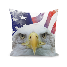 American Flag and Bald Eagle