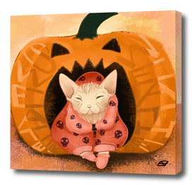 Sweater Weather - Sphynx Cat in a Skull Sweatshirt - Pumpkin