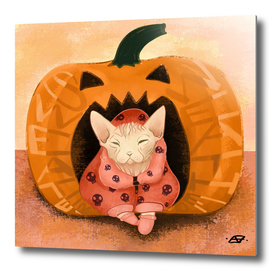 Sweater Weather - Sphynx Cat in a Skull Sweatshirt - Pumpkin