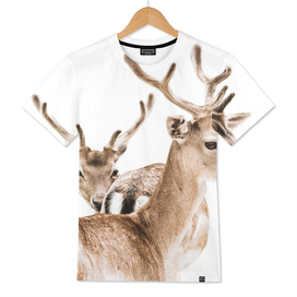 Deers II