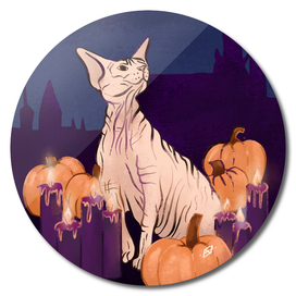 Halloween Sphynx - Candles and Pumpkins in Front of a Castle