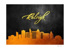 Raleigh North Carolina Gold Skyline