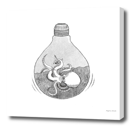 Octopus in a Bulb