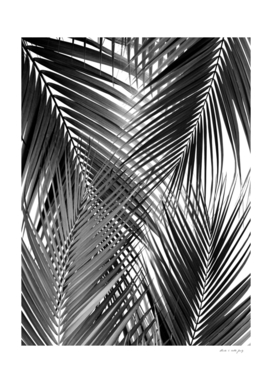 Black Palm Leaves Dream - Cali Summer Vibes #3 #tropical