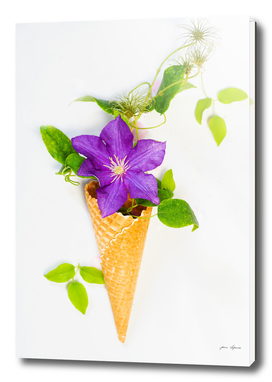 Waffle cone with  one beautiful lilac clematis with leaves