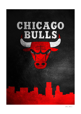 Chicago Bulls Skyline 2