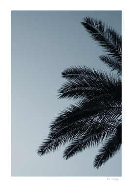 Palm Leaves Sunset Beauty #1 #tropical #decor #art
