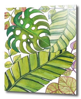 Tropical Leaves In Watercolor