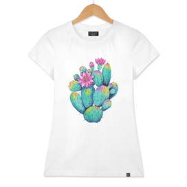 Rainbow Prickly Cactus