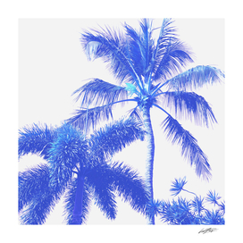 Blue PALM PARADISE