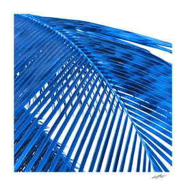 Blue Palm Leaf
