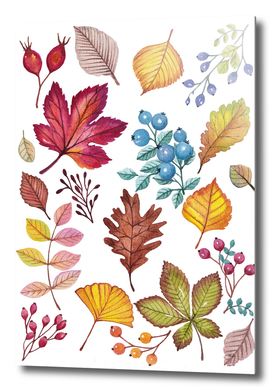 leaves and berries In Watercolor
