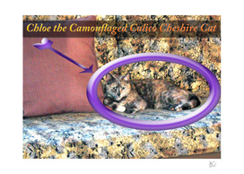 Chloe the Camouflaged Calico Cheshire Cat