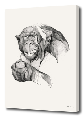 Seven Monkeys – Gluttony