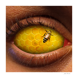 Bee eye