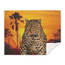 Leopard and Sunset
