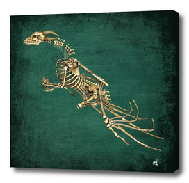 Dragon Skeleton and Green Slate