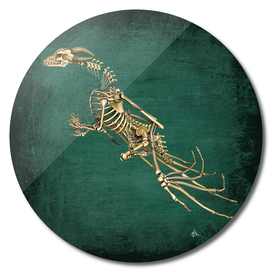 Dragon Skeleton and Green Slate