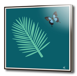 Blue Butterfly and Palm