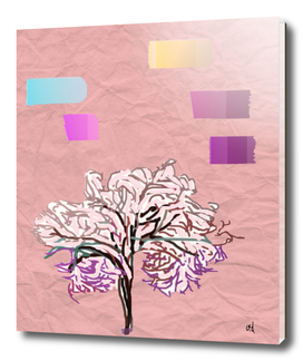 Cherry Blossom, Springtime, Minimalist, Nature