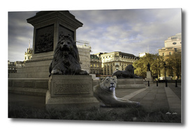 Trafalgar Lions