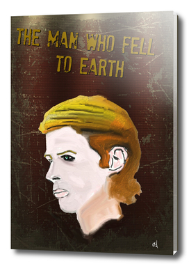 The Man Who Fell To Earth, David Bowie