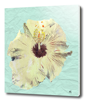 Pale Yellow Flower on Winkled Paper, Minimal Art