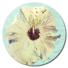 Pale Yellow Flower on Winkled Paper, Minimal Art
