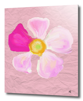 Pink and White Flower, Watercolor on Winkled Paper