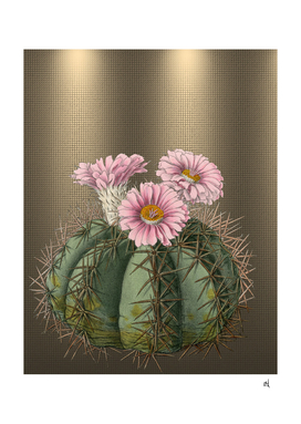 Pink Devil Head Cactus, Desert Flowers, Floral with Bronze