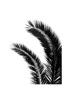 Bohemian Palms Jungle #1 #tropical #decor #art