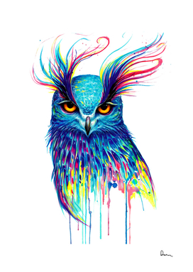 bird drawing painting owl