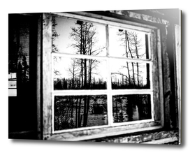 Black and White Grainy Log Cabin Window Reflection
