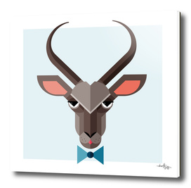 Antelope Illustration