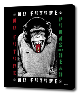 No Future 9