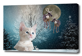White Cat and Reindeers