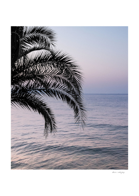 Palm & Ocean Dream #3 #tropical #pastel #wall #decor #art