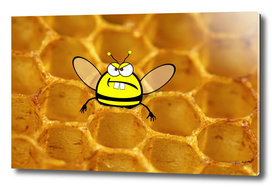 angry bee