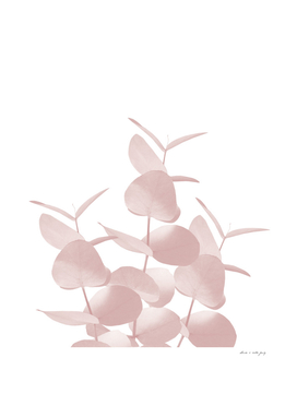 Eucalyptus Leaves Blush White #1 #foliage #decor #art