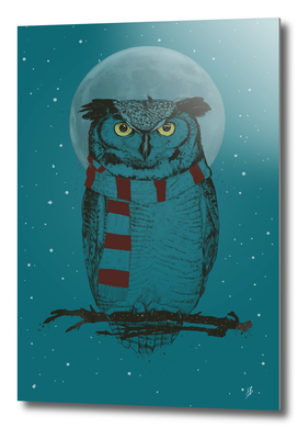 Winter Owl  II