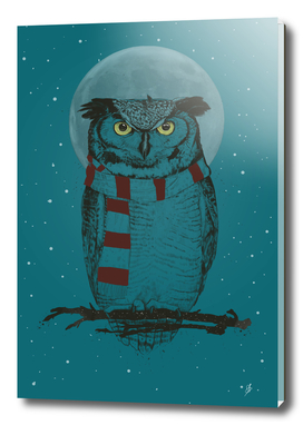Winter Owl  II