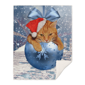 Christmas Cat and Snow