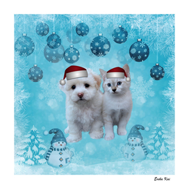 Christmas Dog and Cat