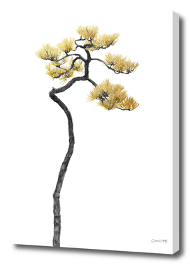 Bonsai Tree 05