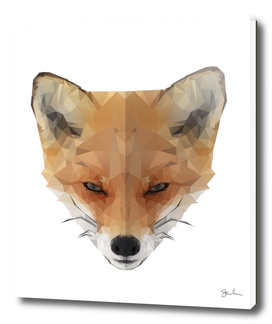 the Fox