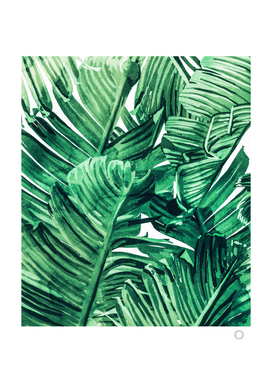 Tropical State of Mind | Watercolor Palm Banana Leaves
