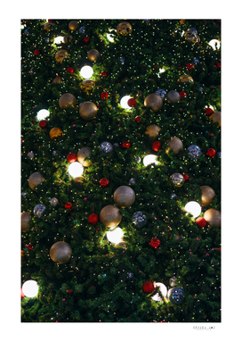 The ornament decoration christmas tree