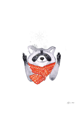 Racoon and snowflakes