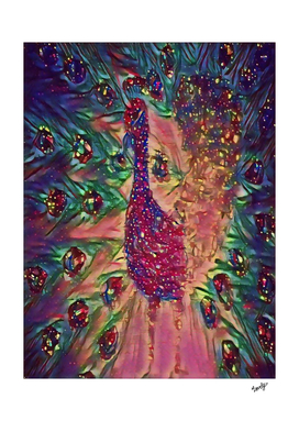 night peacock