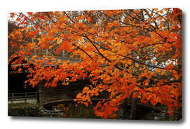 Fall Colors At Humpback Bridge